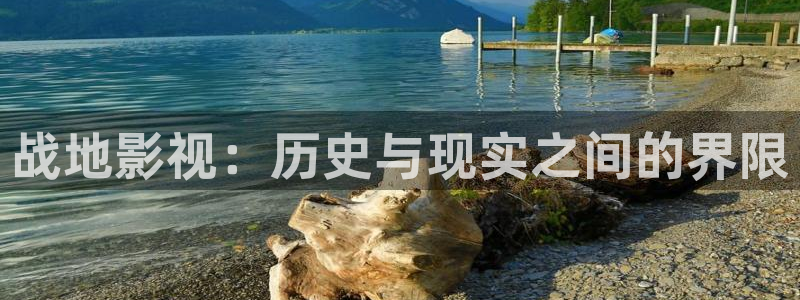 69视频免费入口：战地影视：历史与现实之间的界限