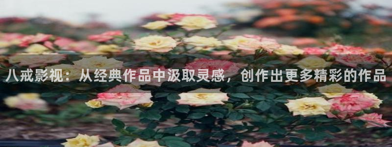 69视频爱爱：八戒影视：从经典作品中汲取灵感，创作出更多精彩的作品