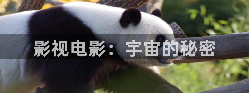 69视频透明内内：影视电影：宇宙的秘密