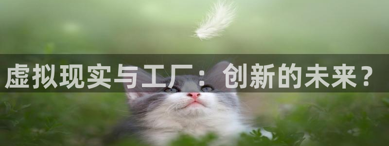 免费69视频在线观看：虚拟现实与工厂：创新的未来？
