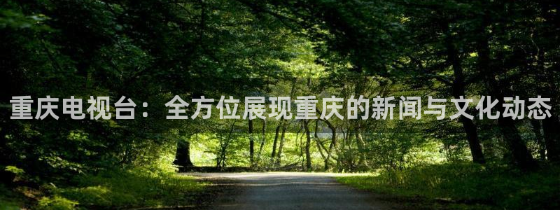 日本69视频免费：重庆电视台：全方位展现重庆的新闻与文化动态