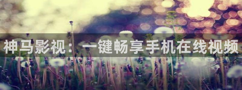 69视频透明内内：神马影视：一键畅享手机在线视频