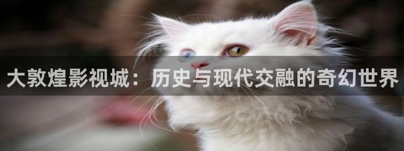 69视频免费在线看：大敦煌影视城：历史与现代交融的奇幻世界