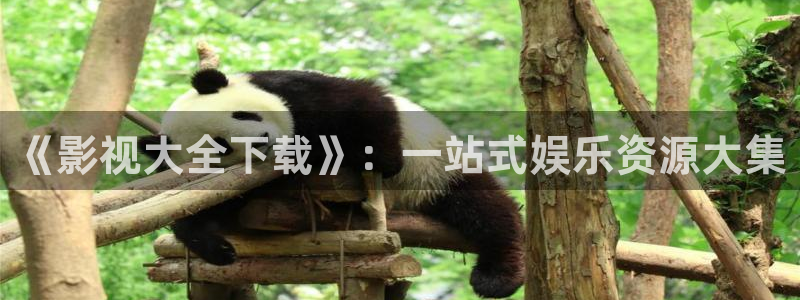 69视频成人免费看：《影视大全下载》：一站式娱乐资源大集