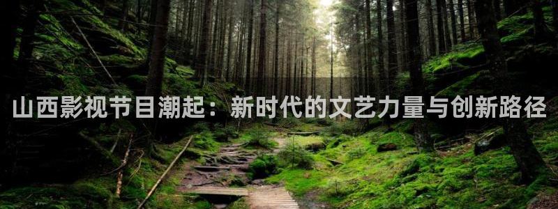 69视频在线永久地址：山西影视节目潮起：新时代的文艺力量与创新路径